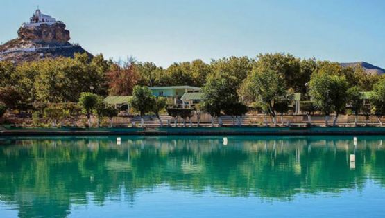 Oasis de viñedos en el norte: rutas, qué ver y dónde brindar