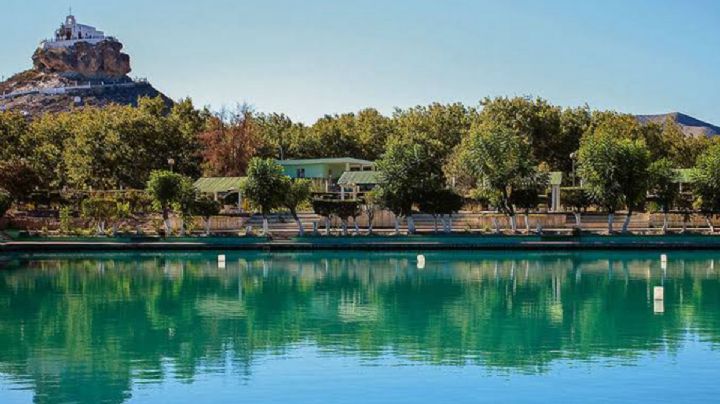 Oasis de viñedos en el norte: rutas, qué ver y dónde brindar