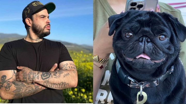 Pepe Aguilar se burla de su hijo Emiliano; lo compara con su perro 'El Gordo'