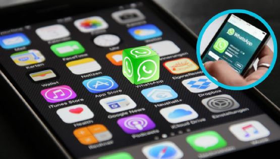 Whatsapp: cómo liberar memoria de tu teléfono desde la papelera de la app