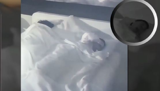 La Casa de los Famosos México: Abelito rompe en llanto; ¿abandonará el reality? | VIDEO