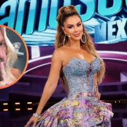 ¡Ninel Conde dice basta! Impone orden de restricción a Javier Ceriani