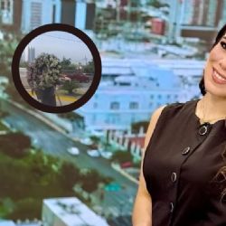 Débora Estrella recibe emotiva despedida; familiares y amigos llenaron de flores y amor su funeral