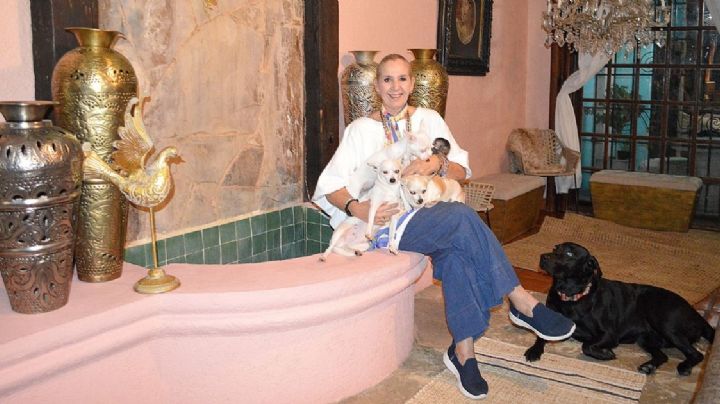 Gina Ferrera lucha por derechos y trato justo con Asociación Protectora de Animales